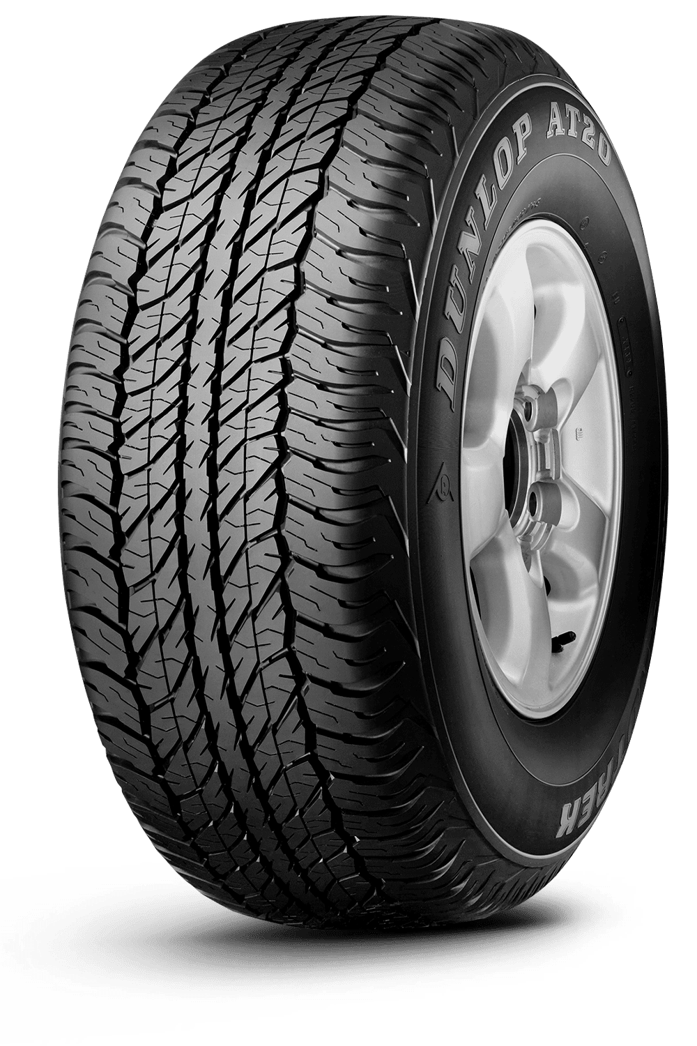 Pneu Aro 17 DUNLOP 225X70R17 C108/106S AT20